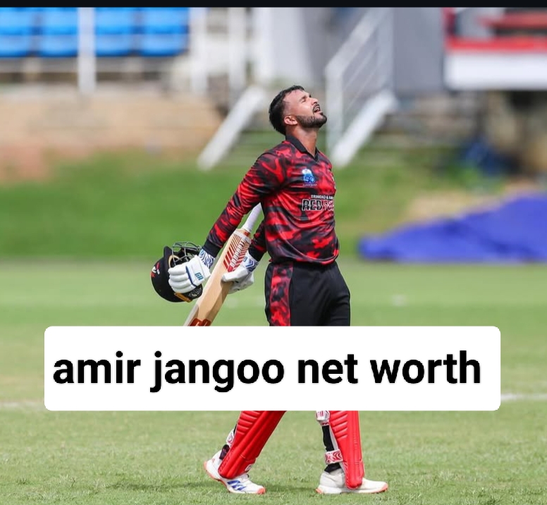 amir jangoo net worth