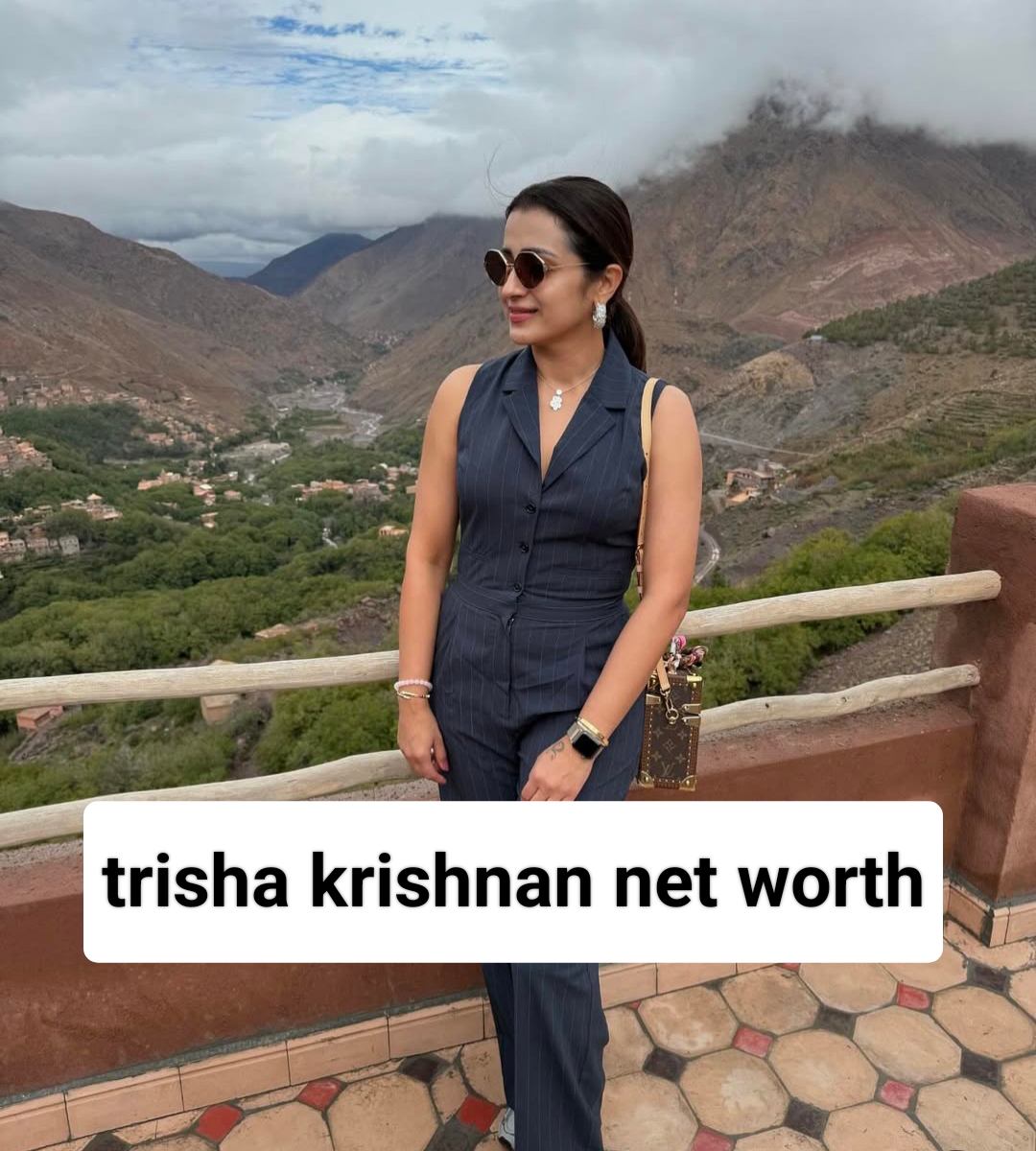 trisha krishnan net worth